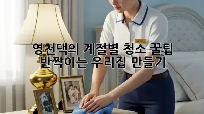 ✨영천댁의 계절별 청소 꿀팁: 🏡반짝이는 우리집 만들기✨