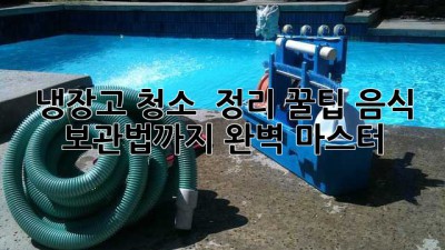 냉장고 ✨청소✨ & 정리 꿀팁🍯: 음식 보관법까지 완벽 마스터!